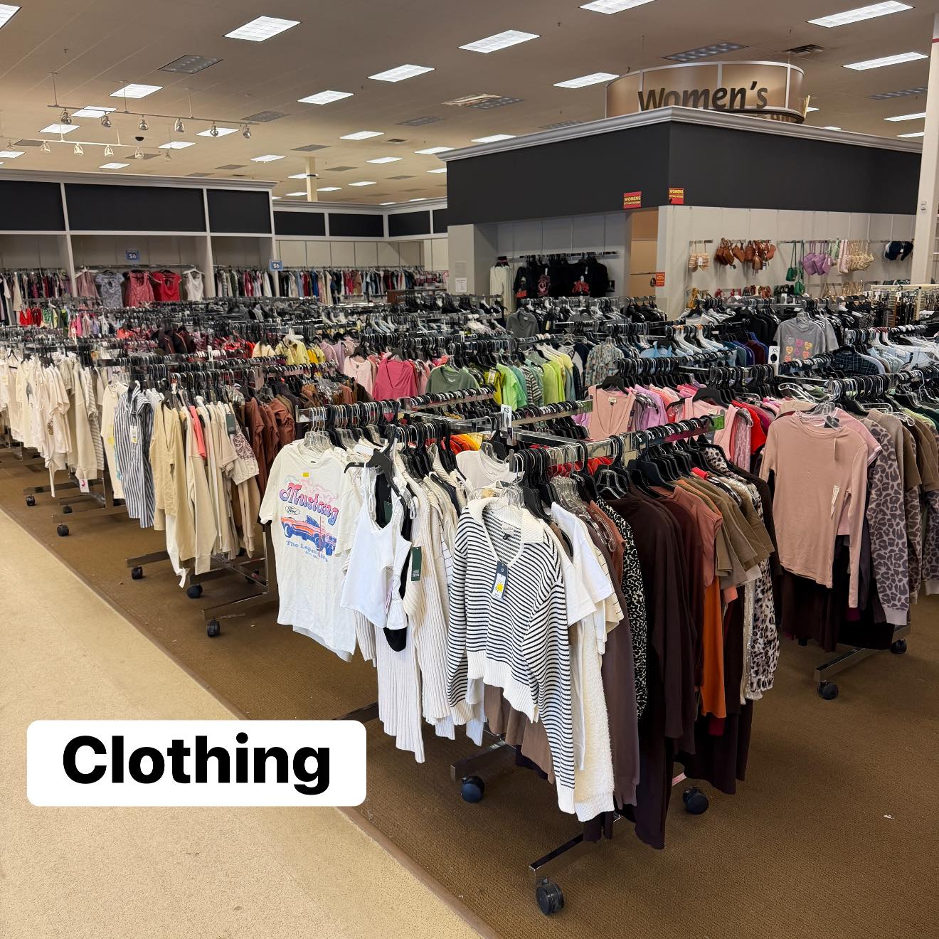 New With Tags at Thrift Store Prices: Is It Real?